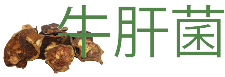 Porcini Andino