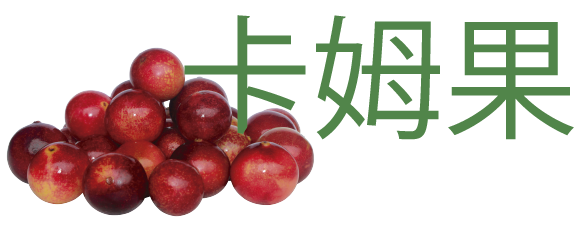卡姆果