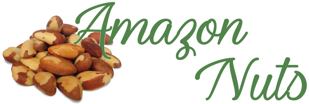 Nuez del Amazonas
